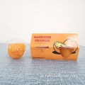 4 أوقية الماندرين الطازجة البرتقال في شراب الضوء